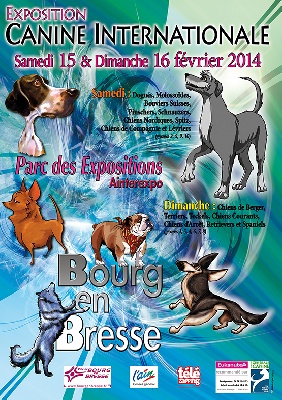 De La Perouze Du Revermont - Exposition Canine à Bourg En Bresse