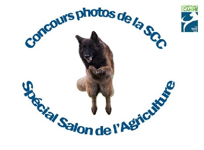 De La Perouze Du Revermont - Concours photo canin salon de l'Agriculture